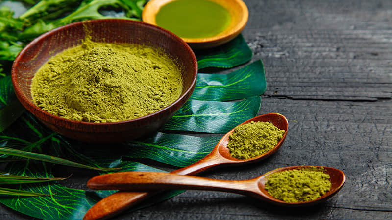 抺茶鮮葉加工現場錄像